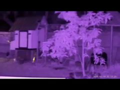 NVG08F rangefinder night vision binoculars