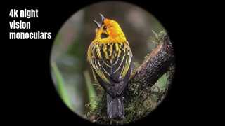 دید در شب تک چشمی با کیفیت بالا 4K