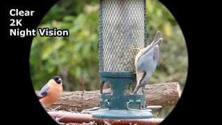 عینک دید در شب Clear Video 2K را ضبط کنید