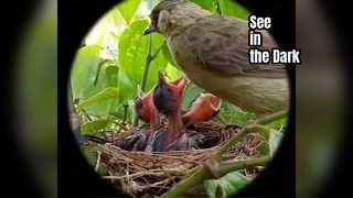 عینک دید در شب هوندیجی